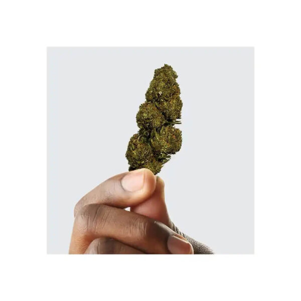 Blueberry CBD – Image 2