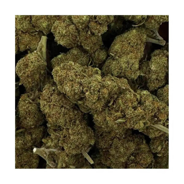 Blueberry CBD – Image 3