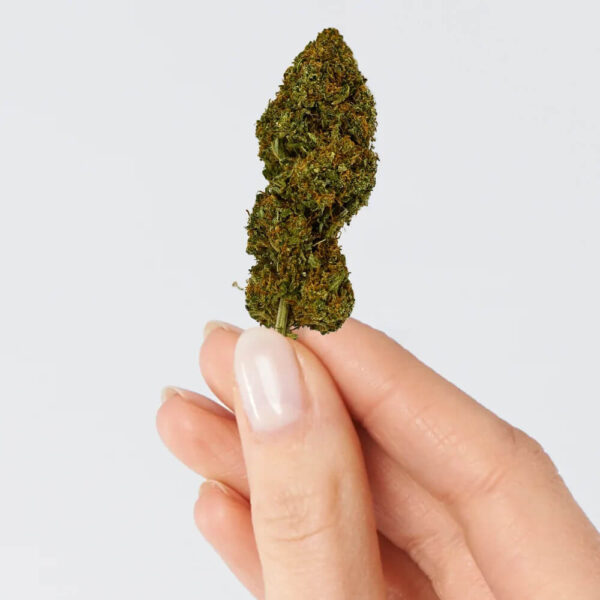 Candy Kush CBD – Image 2