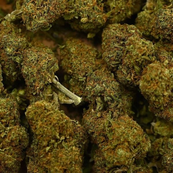 Candy Kush CBD – Image 3