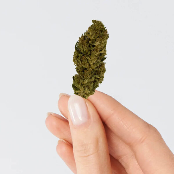 Lemon Haze CBD – Image 2
