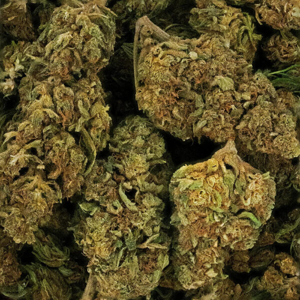 Lemon Haze CBD – Image 3