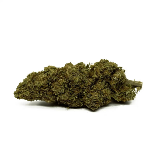 orange-bud-cbd-greenhouse 2