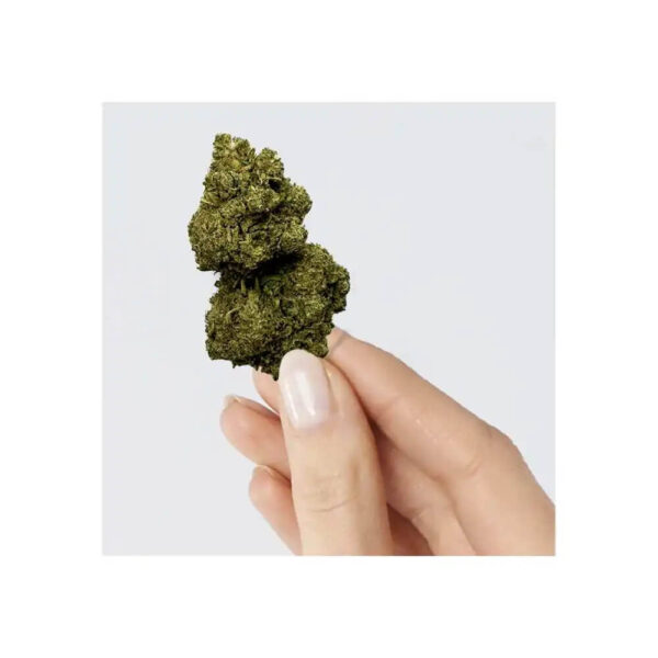 Rainbow Kush CBD – Image 2