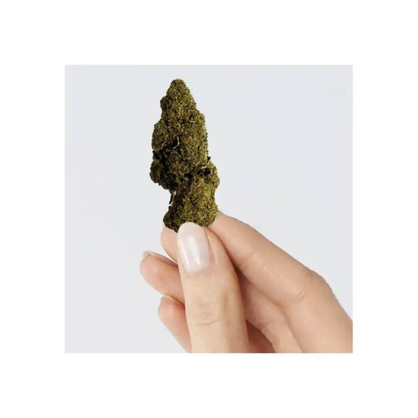 Raspberry Haze CBD – Image 2
