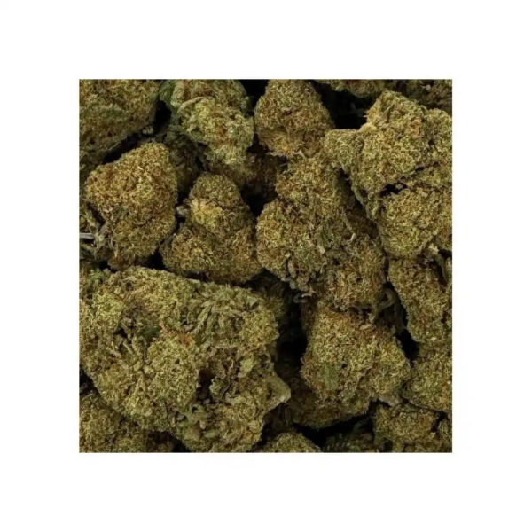 Raspberry Haze CBD – Image 3