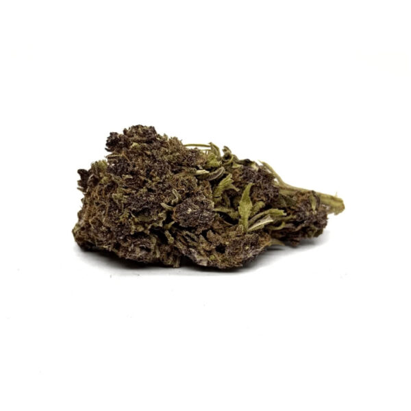 purple-haze-2-0-cbd (2)